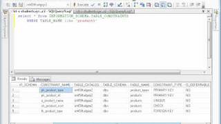 SQL Using Information Schema to query table metadata [upl. by Rodrich]