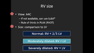 Basic Right Ventricle Assessment with POCUS [upl. by Ahsenra]