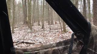 4minute real hunting video 4th day of Pennsylvania rifle deer 2021 season [upl. by Yetah]