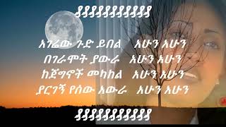 Abeba Desalegn Wenchfhn stegn lyrics [upl. by Yentrac]