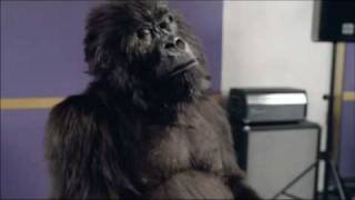 Cadburys Gorilla 60 second commercial [upl. by Tnaryb654]