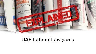 Explained  UAEs Labour Law  work hours and wage protection [upl. by Araldo460]