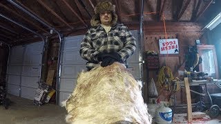 How to Tan a Deer Hide Start to Finish [upl. by Yeliab]