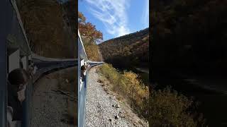 Potomac Eagle Scenic Railroad wv westvirginia fall fun shorts fyp travel fallvibes nice [upl. by Urina977]