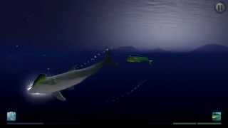 quotI Am Dolphinquot iOS Gameplay Video  Bandit vs 3 Mahi Mahi [upl. by Litnahs907]