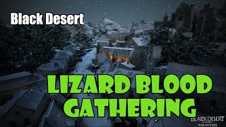 Black Desert Lizard Blood Gathering Rotation  50 Million Silver Per Hour [upl. by Mastic]