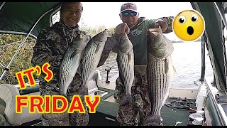 Striper Fishing Sacramento River CA Delta  Its Friday Fishing Shorts Subscribe Like Striper [upl. by Ilatfan]