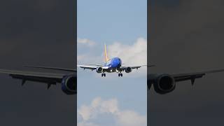 Southwest 7377 Landing [upl. by Pollak770]