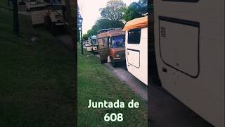 Juntada de 608 🌿 Costanera Sur  Comunidad Viajera [upl. by Ryhpez]