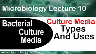 Microbiology lecture 10  bacterial culture media classification types and uses [upl. by Zipporah]