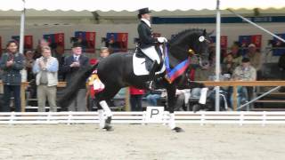 wwwreitschulesandbrinkde FÜRSTENBALL Championatssieger Rastede Dressage [upl. by Redman311]