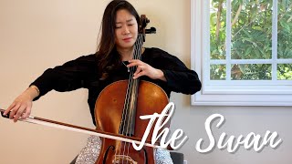 SaintSaëns The Swan Cello and Piano  Jennifer Park [upl. by Marga]