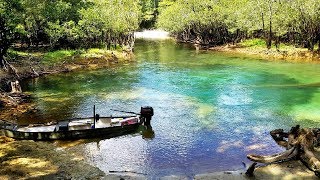 Perils to Paradise  118 Miles on the Choctawhatchee River [upl. by Adnelg]