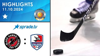 11102024  Highlights  EHF Passau Black Hawks vs Heilbronner Falken [upl. by Adnawad716]