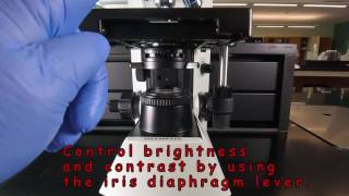 Use of the Microscope  Preliminary Tips [upl. by Aleekat397]