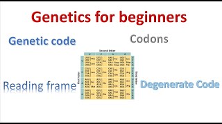 Genetics for beginners Genetic Code and codons [upl. by Shena]