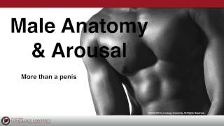 Loveology University  quotMale Anatomy amp Arousalquot Course Sneak Preview [upl. by Crellen]