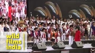 The best of India Nagaland Hornbill Festival 2013 [upl. by Adnerak512]