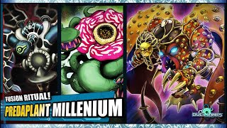 PREDAPLANT MILLENIUM  Relinquished ft Chimerafflesia  YuGiOh Duel Links Decks [upl. by Briney]