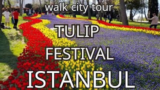 Istanbul Tulip Festival  Emirgan Tulip Gardens [upl. by Mildrid]