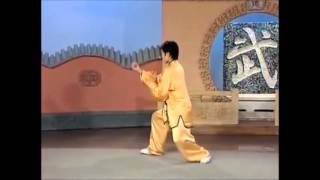 88 Yang Style Tai Chi Quan Form [upl. by Brena]