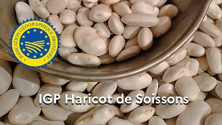 Le « Haricot de Soissons » reconnu en Indication géographique protégée IGP [upl. by Llednyl602]