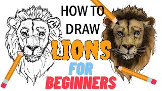 How to Draw a Lion Easy Step by Step [upl. by Larissa]