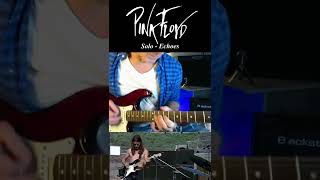 Echoes Pompeii  David Gilmour Pink Floyd Solo of the Day shorts [upl. by Rawde]