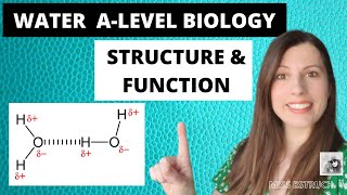 WATER  Alevel Biology The importance of water  structure and function [upl. by Norad]