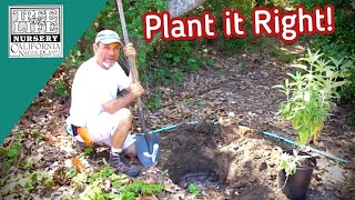 Plant it Right  Part 1  Digging the Hole [upl. by Gen]