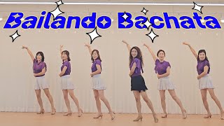 Bailando Bachata Line Dance Beginner 바차타 초급라인댄스 [upl. by Urbannal17]