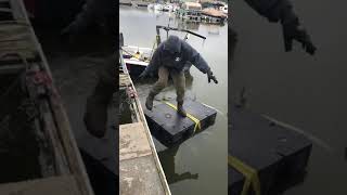 How to install dock floats in the water [upl. by Hax]