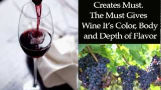 Red Wine Making Basics [upl. by Sudnac]