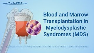 Hypocellular MDS vs aplastic anemia  Diagnosis and therapy [upl. by Becht]