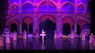 Maine State Ballet The Dance of the Sugar Plum Fairy  Rachel Paradis [upl. by Nnoryt]