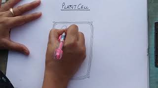 Plant cell diagram [upl. by Ashla486]