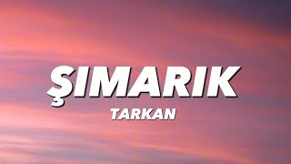 TARKAN  ŞIMARIK MUAH  lyricssözleri [upl. by Naerol]