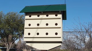 How to build a Birdhouse Condo [upl. by Rosemarie24]