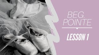 Beginner Pointe Lesson 1 [upl. by Skylar]