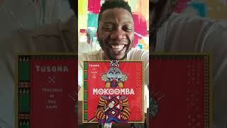 How to Play Mokoomba  Nzara Hapana feat Mono Mukundu [upl. by Ahsimek]