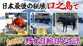 日本最後の秘境「口之島」で野食自給自足生活 [upl. by Solenne981]