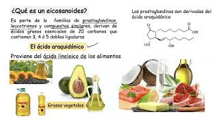 Procesos de la Hemostasia [upl. by Denis]