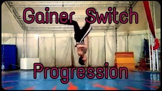 My Gainer Switch Progression [upl. by Honig389]