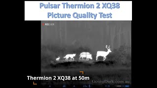 Pulsar Thermion 2 XQ38 Picture Quality Review 50400m [upl. by Adyl]