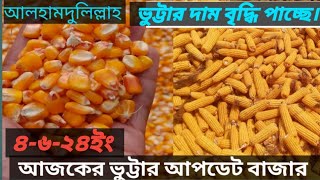 ৪৬২৪ইং আজকের ভুট্টার বাজার। Todays maize price [upl. by Ynnal]