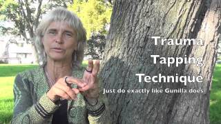 A presentation of the Trauma Tapping Technique TTT  Grounding and Self help for Stress and Trauma [upl. by Aida355]