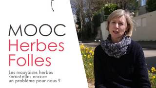 TEASER MOOC HERBES FOLLES [upl. by Millie]