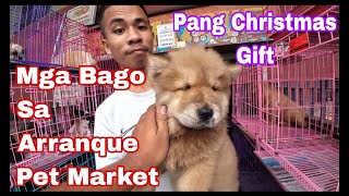 Arranque Pet Market Manila Price Update Dec16 2023 [upl. by Viole327]