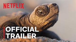 OUR PLANET II  Official Trailer  Netflix [upl. by Marybella772]