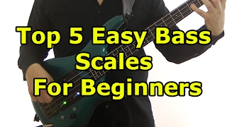 Top 5 Easy Bass Scales For Beginners [upl. by Tezile]